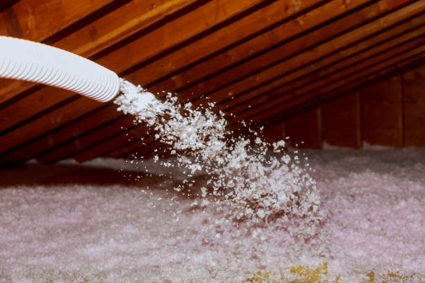 Reliable Brownsville, FL Insulation Contractor Solutions