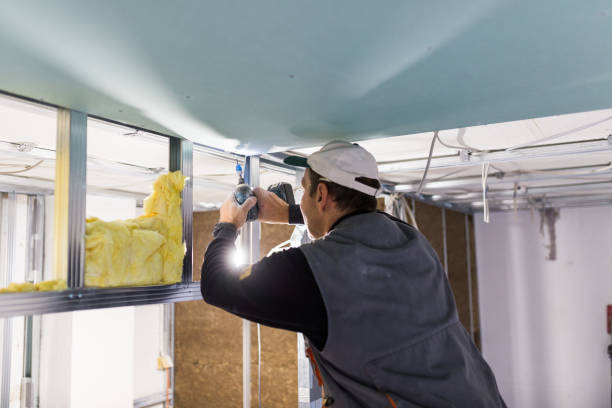 Best Specialized Insulation Services in Brownsville, FL
