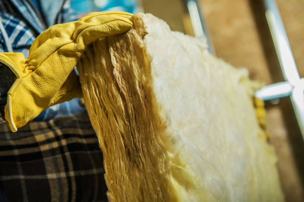 Best Residential Insulation in Brownsville, FL