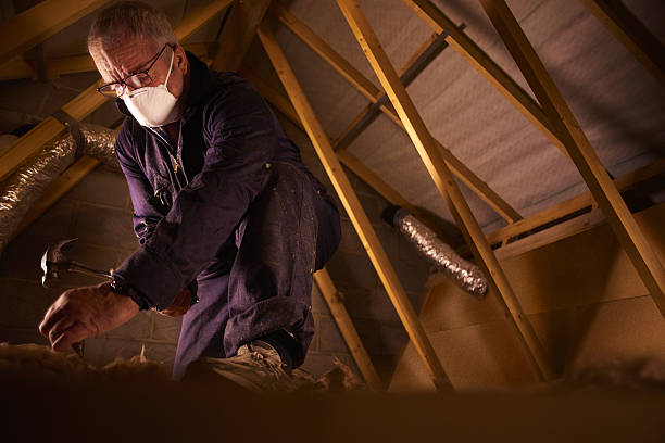 Types of Insulation We Offer in Brownsville, FL